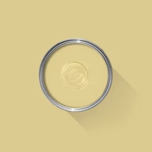 Gervase Yellow