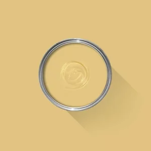 Ciara yellow